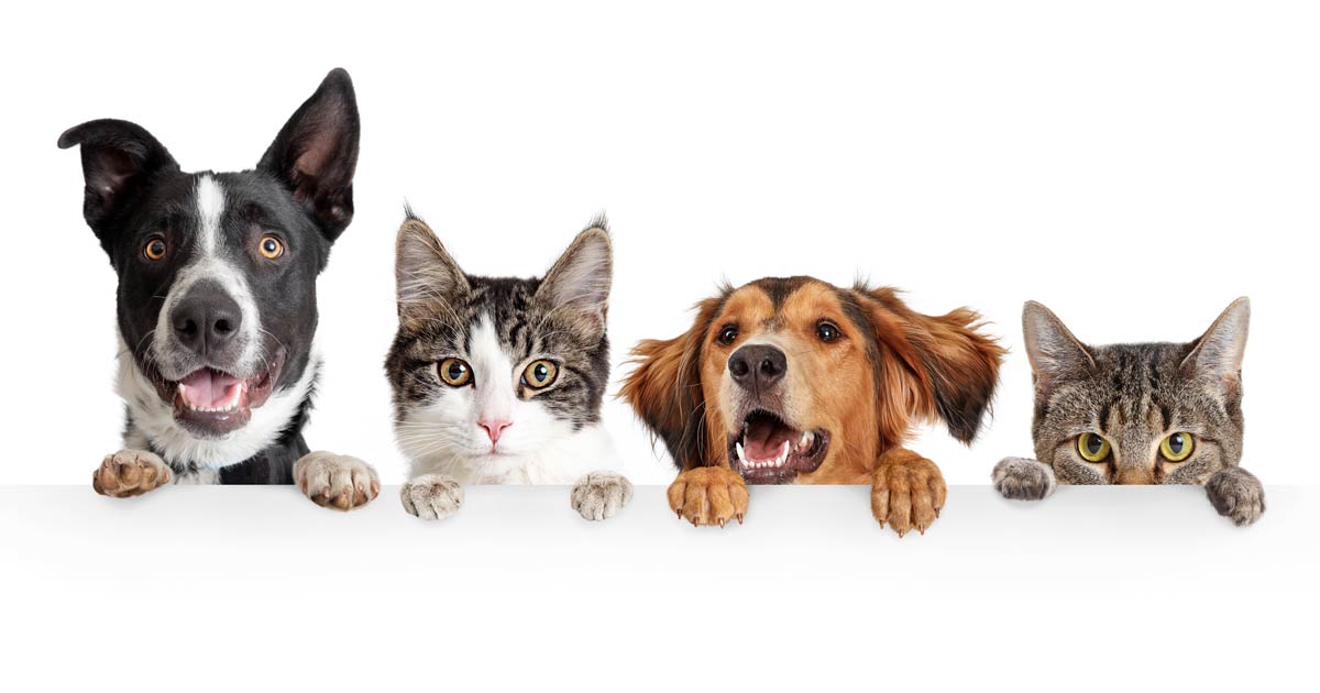 Gift Hoekstra& Partners Notarissen